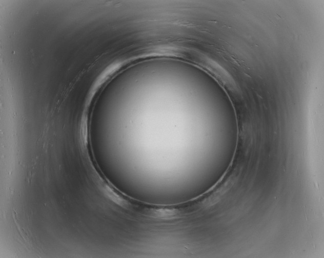 X0000112141180200908071050