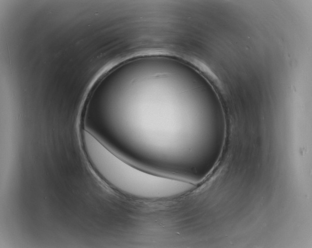 X0000112141181200908071050