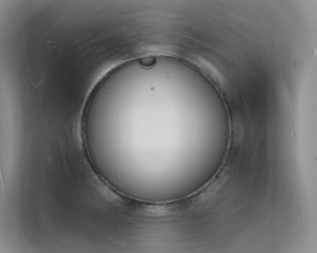 X0000112141182200908071050