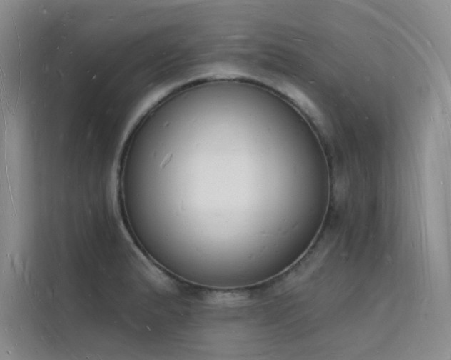 X0000112141183200908071050