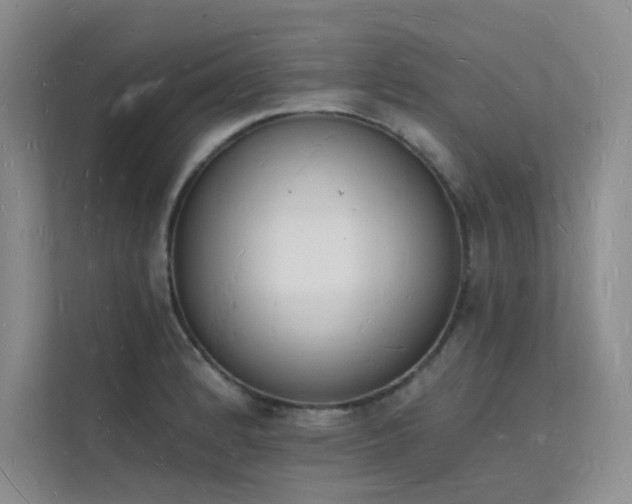 X0000112141184200908071050