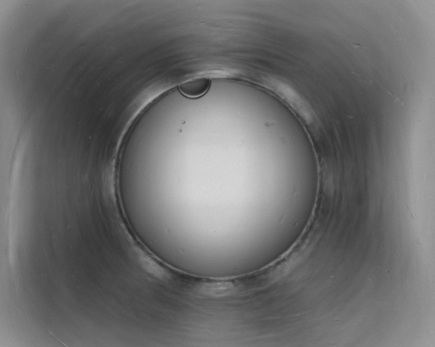 X0000112141186200908071050