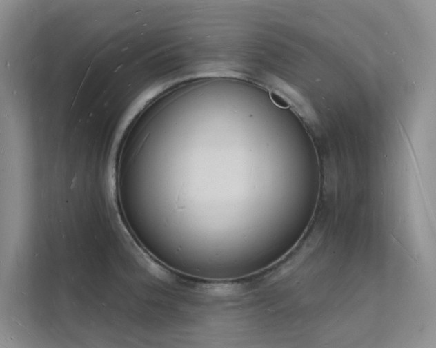 X0000112141188200908071050