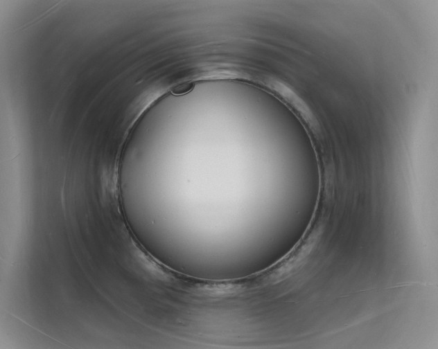 X0000112141193200908071049