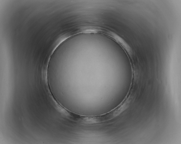 X0000112141194200908071049