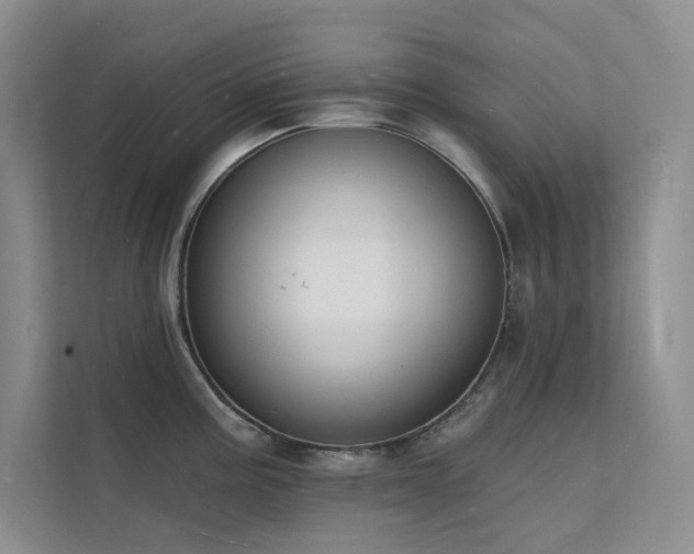 X0000112141195200908071049