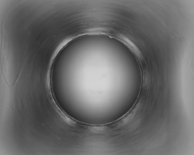 X0000112141196200908071049