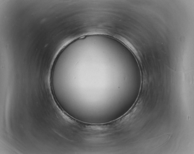 X0000112141197200908071049