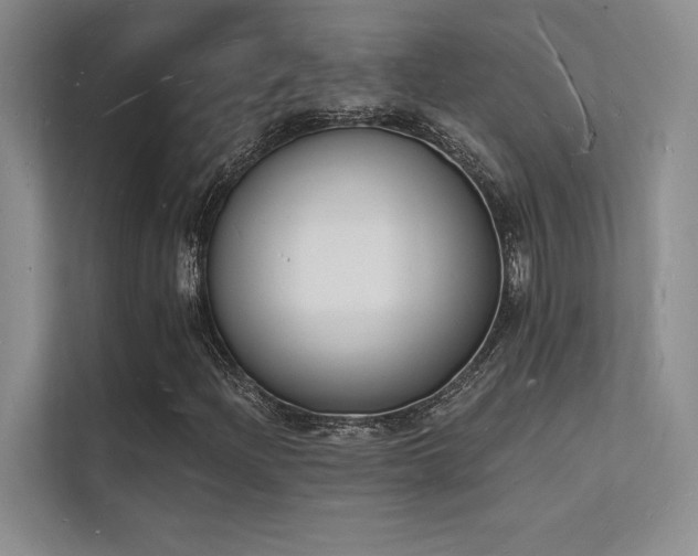 X0000112141204200908071049