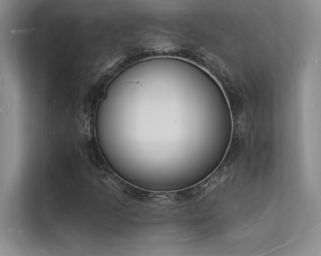 X0000112141205200908071049