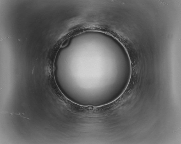 X0000112141206200908071049