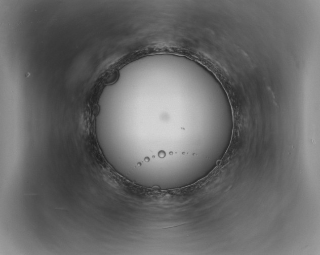 X0000112141207200908071049