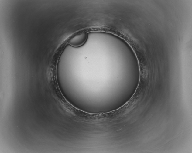 X0000112141208200908071049