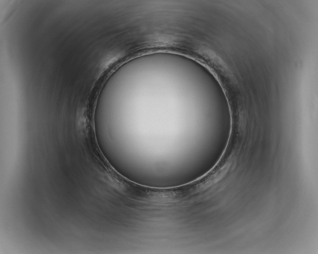 X0000112141210200908071049