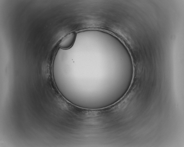 X0000112141211200908071049