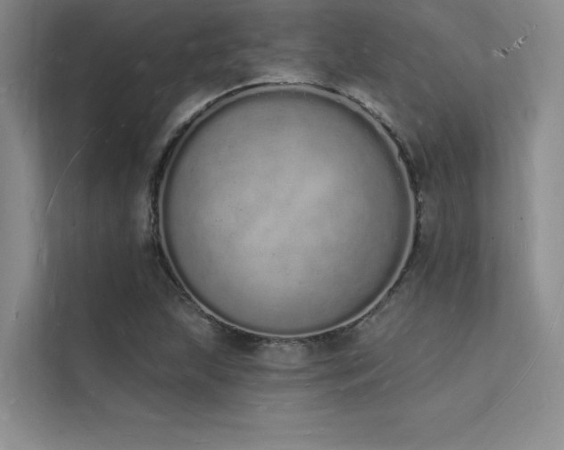 X0000112141215200908071049