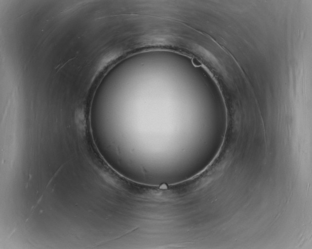 X0000112141218200908071049