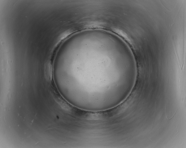 X0000112141219200908071049