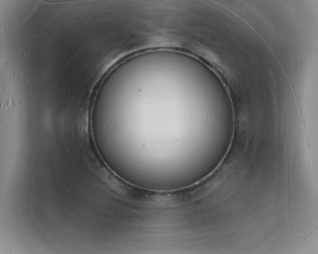 X0000112141220200908071049