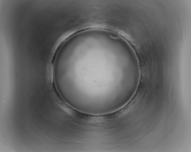 X0000112141223200908071049