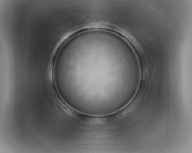 X0000112141224200908071049