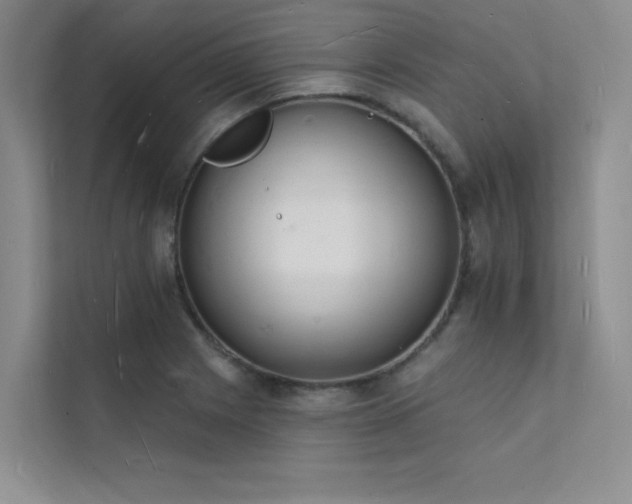 X0000112141225200908071049