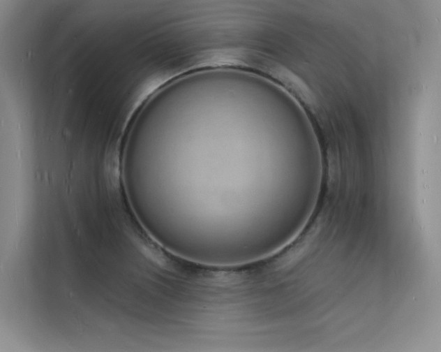 X0000112141226200908071049