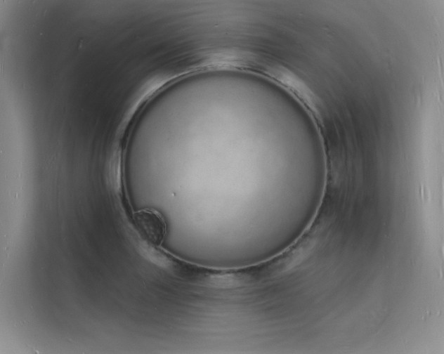 X0000112141227200908071049