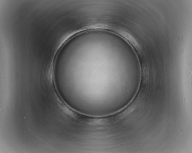 X0000112141228200908071049