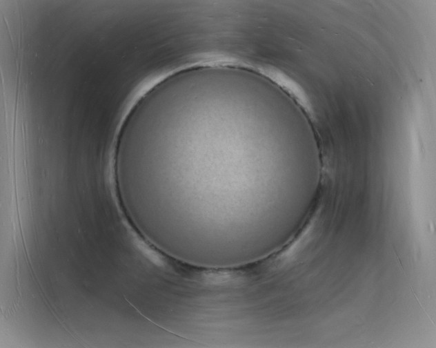 X0000112141231200908071049