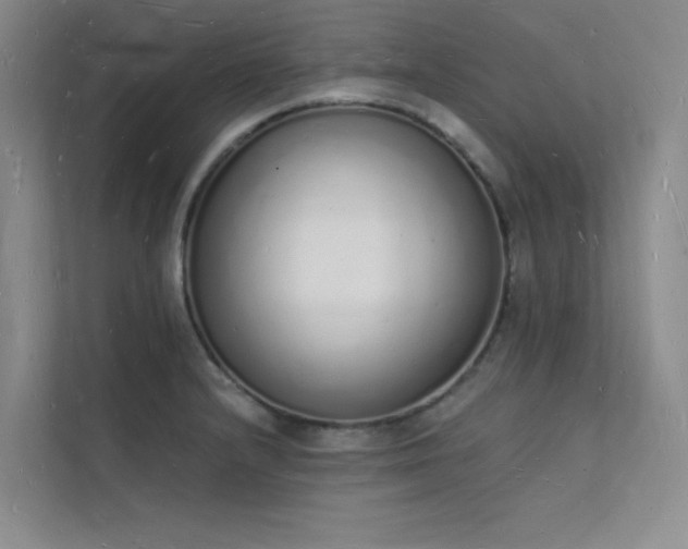 X0000112141232200908071049
