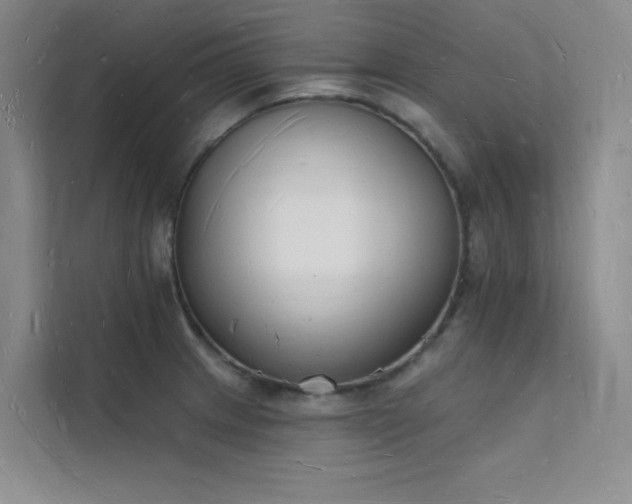 X0000112141233200908071049