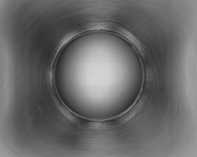 X0000112141234200908071049