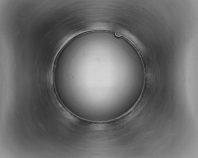 X0000112141236200908071049