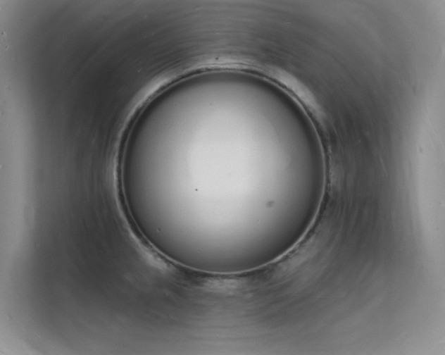 X0000112141237200908071049