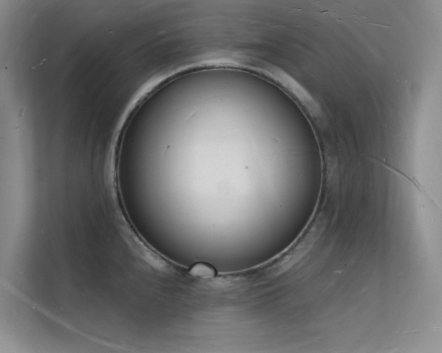 X0000112141240200908071049