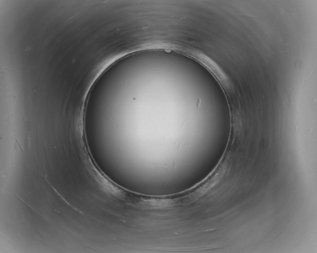 X0000112141244200908071049