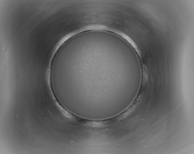 X0000112141245200908071049