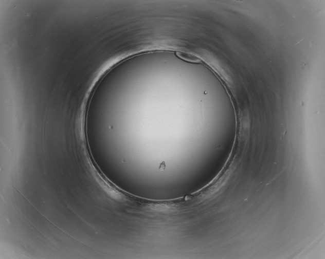 X0000112141246200908071049