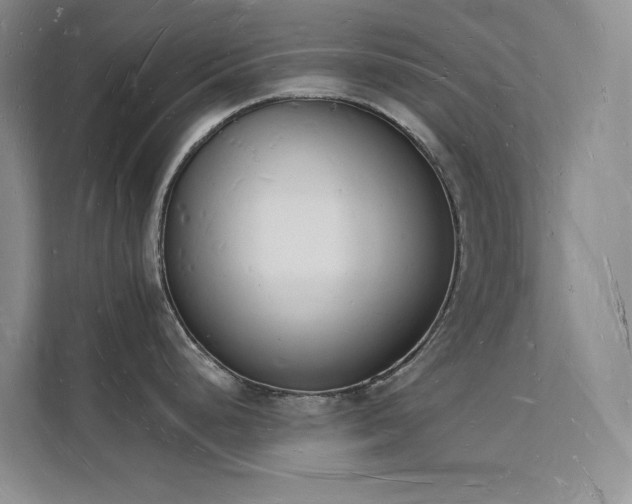 X0000112141248200908071049