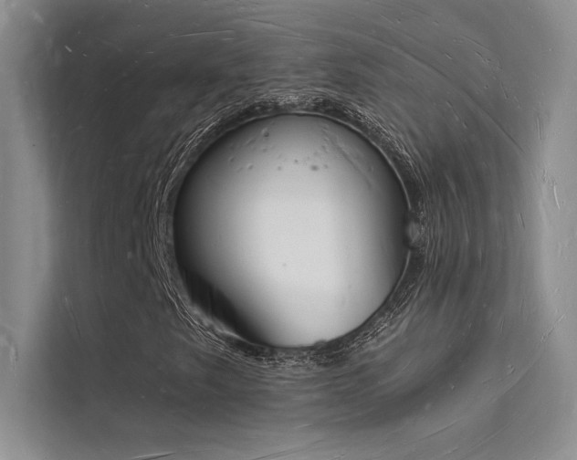 X0000112141249200908071049