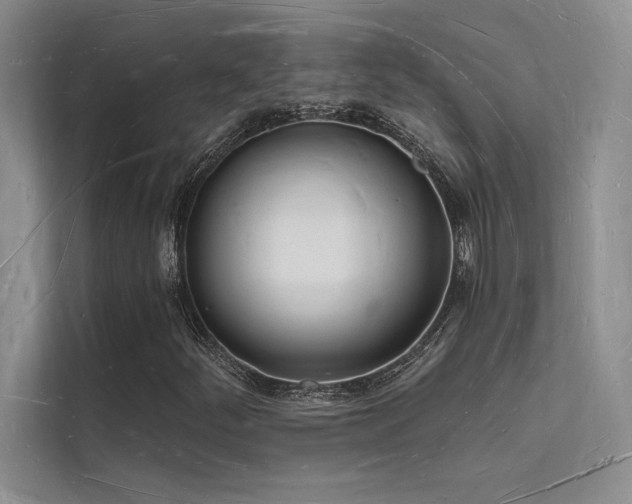 X0000112141252200908071049
