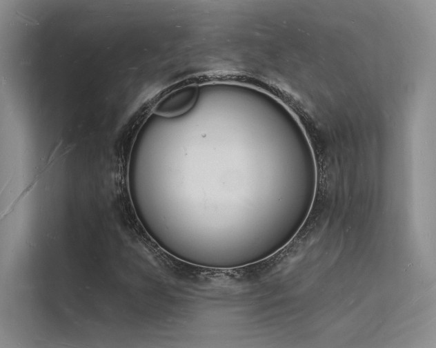 X0000112141255200908071049