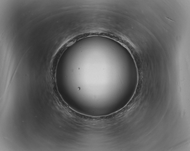 X0000112141256200908071049