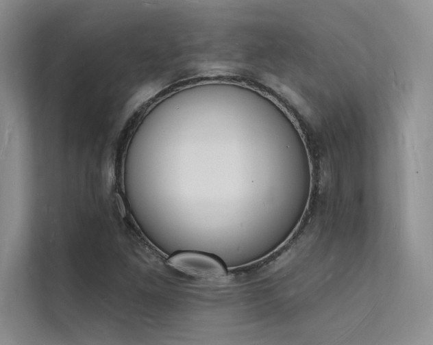 X0000112141261200908071049