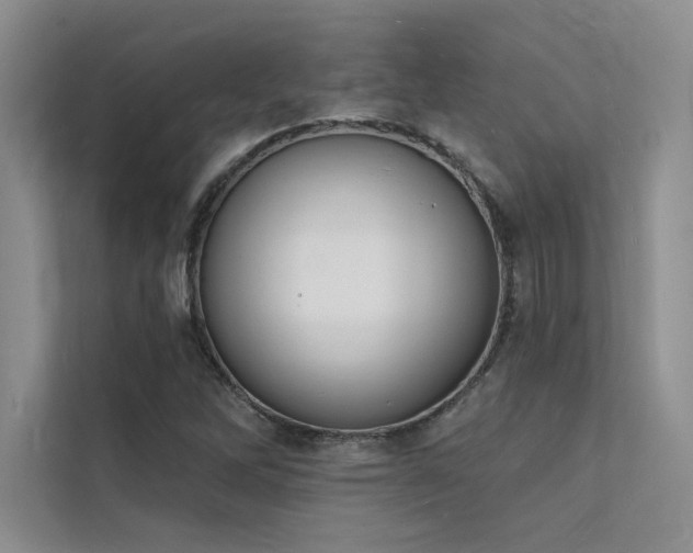 X0000112141262200908071049