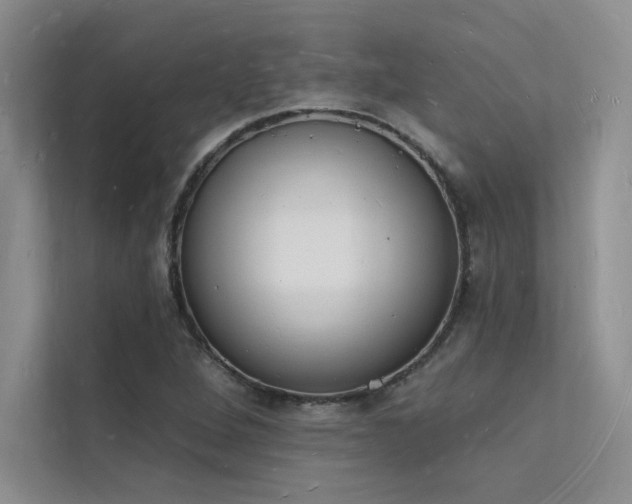 X0000112141264200908071049