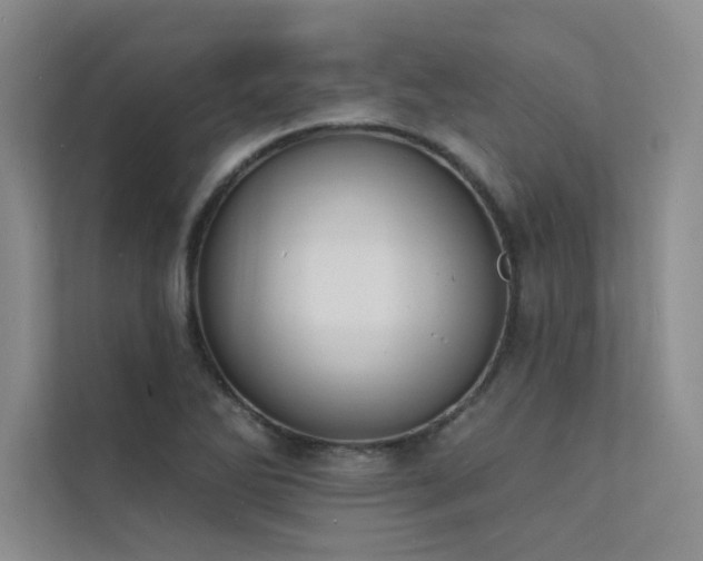 X0000112141270200908071048