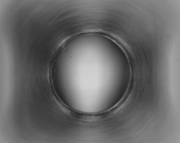 X0000112141273200908071048