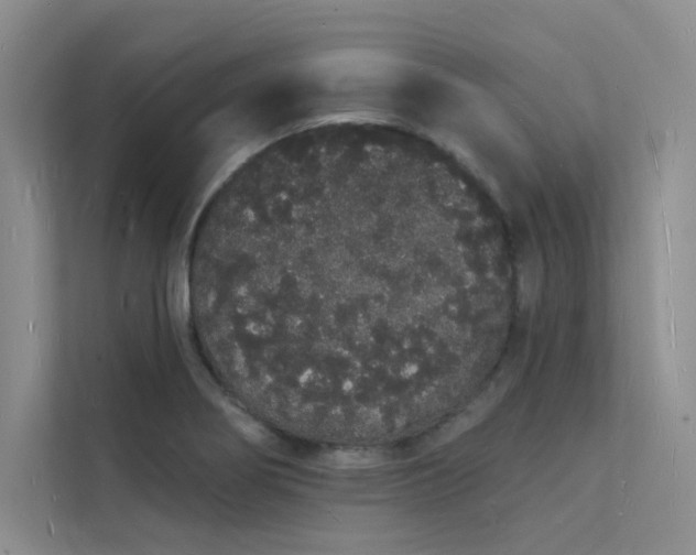 X0000112141274200908071048